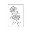 Picture of French Hydrangea Drawing _GroupedProduct_Rectangle_Portrait_Framed_Matted_