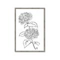 Picture of French Hydrangea Drawing _GroupedProduct_Rectangle_Portrait_Framed_Matted_