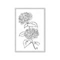 Picture of French Hydrangea Drawing _GroupedProduct_Rectangle_Portrait_Framed_Matted_