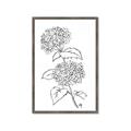 Picture of French Hydrangea Drawing _GroupedProduct_Rectangle_Portrait_Framed_Matted_