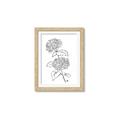 Picture of French Hydrangea Drawing _GroupedProduct_Rectangle_Portrait_Framed_Matted_