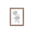Picture of French Hydrangea Drawing _GroupedProduct_Rectangle_Portrait_Framed_Matted_