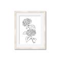 Picture of French Hydrangea Drawing _GroupedProduct_Rectangle_Portrait_Framed_Matted_