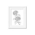 Picture of French Hydrangea Drawing _GroupedProduct_Rectangle_Portrait_Framed_Matted_
