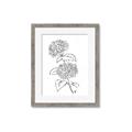 Picture of French Hydrangea Drawing _GroupedProduct_Rectangle_Portrait_Framed_Matted_