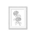 Picture of French Hydrangea Drawing _GroupedProduct_Rectangle_Portrait_Framed_Matted_