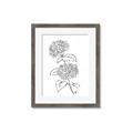 Picture of French Hydrangea Drawing _GroupedProduct_Rectangle_Portrait_Framed_Matted_