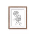 Picture of French Hydrangea Drawing _GroupedProduct_Rectangle_Portrait_Framed_Matted_