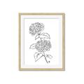 Picture of French Hydrangea Drawing _GroupedProduct_Rectangle_Portrait_Framed_Matted_