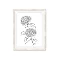Picture of French Hydrangea Drawing _GroupedProduct_Rectangle_Portrait_Framed_Matted_