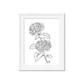 Picture of French Hydrangea Drawing _GroupedProduct_Rectangle_Portrait_Framed_Matted_