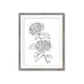 Picture of French Hydrangea Drawing _GroupedProduct_Rectangle_Portrait_Framed_Matted_