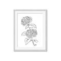 Picture of French Hydrangea Drawing _GroupedProduct_Rectangle_Portrait_Framed_Matted_