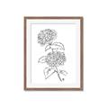 Picture of French Hydrangea Drawing _GroupedProduct_Rectangle_Portrait_Framed_Matted_