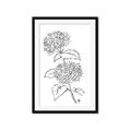 Picture of French Hydrangea Drawing _GroupedProduct_Rectangle_Portrait_Framed_Matted_