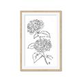 Picture of French Hydrangea Drawing _GroupedProduct_Rectangle_Portrait_Framed_Matted_