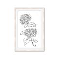 Picture of French Hydrangea Drawing _GroupedProduct_Rectangle_Portrait_Framed_Matted_