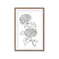 Picture of French Hydrangea Drawing _GroupedProduct_Rectangle_Portrait_Framed_Matted_