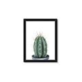 Picture of Cactus     _GroupedProduct_Rectangle_Portrait_Framed_Matted_