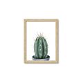 Picture of Cactus     _GroupedProduct_Rectangle_Portrait_Framed_Matted_