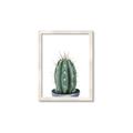Picture of Cactus     _GroupedProduct_Rectangle_Portrait_Framed_Matted_