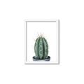 Picture of Cactus     _GroupedProduct_Rectangle_Portrait_Framed_Matted_