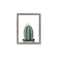 Picture of Cactus     _GroupedProduct_Rectangle_Portrait_Framed_Matted_