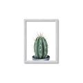 Picture of Cactus     _GroupedProduct_Rectangle_Portrait_Framed_Matted_