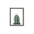 Picture of Cactus     _GroupedProduct_Rectangle_Portrait_Framed_Matted_