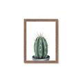 Picture of Cactus     _GroupedProduct_Rectangle_Portrait_Framed_Matted_