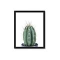 Picture of Cactus     _GroupedProduct_Rectangle_Portrait_Framed_Matted_