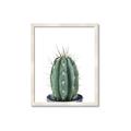 Picture of Cactus     _GroupedProduct_Rectangle_Portrait_Framed_Matted_