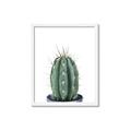 Picture of Cactus     _GroupedProduct_Rectangle_Portrait_Framed_Matted_