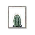 Picture of Cactus     _GroupedProduct_Rectangle_Portrait_Framed_Matted_