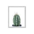Picture of Cactus     _GroupedProduct_Rectangle_Portrait_Framed_Matted_