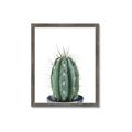 Picture of Cactus     _GroupedProduct_Rectangle_Portrait_Framed_Matted_