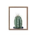 Picture of Cactus     _GroupedProduct_Rectangle_Portrait_Framed_Matted_