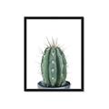 Picture of Cactus     _GroupedProduct_Rectangle_Portrait_Framed_Matted_