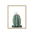 Picture of Cactus     _GroupedProduct_Rectangle_Portrait_Framed_Matted_
