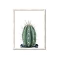 Picture of Cactus     _GroupedProduct_Rectangle_Portrait_Framed_Matted_