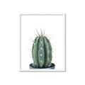 Picture of Cactus     _GroupedProduct_Rectangle_Portrait_Framed_Matted_