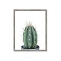 Picture of Cactus     _GroupedProduct_Rectangle_Portrait_Framed_Matted_