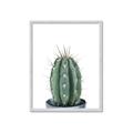 Picture of Cactus     _GroupedProduct_Rectangle_Portrait_Framed_Matted_
