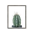 Picture of Cactus     _GroupedProduct_Rectangle_Portrait_Framed_Matted_