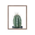 Picture of Cactus     _GroupedProduct_Rectangle_Portrait_Framed_Matted_