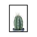 Picture of Cactus     _GroupedProduct_Rectangle_Portrait_Framed_Matted_