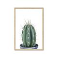 Picture of Cactus     _GroupedProduct_Rectangle_Portrait_Framed_Matted_