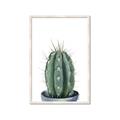 Picture of Cactus     _GroupedProduct_Rectangle_Portrait_Framed_Matted_