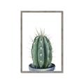 Picture of Cactus     _GroupedProduct_Rectangle_Portrait_Framed_Matted_