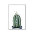 Picture of Cactus     _GroupedProduct_Rectangle_Portrait_Framed_Matted_